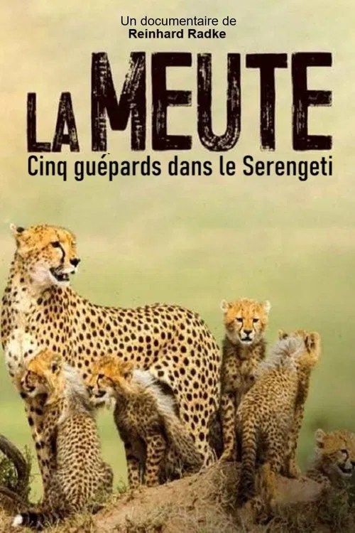 Die fünf Geparde - Gemeinsam durch die Serengeti movie poster