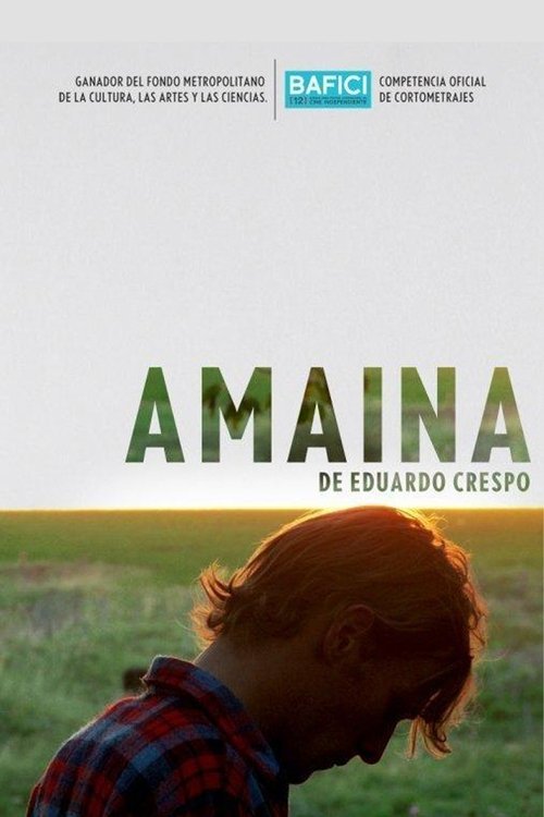 Amaina movie poster