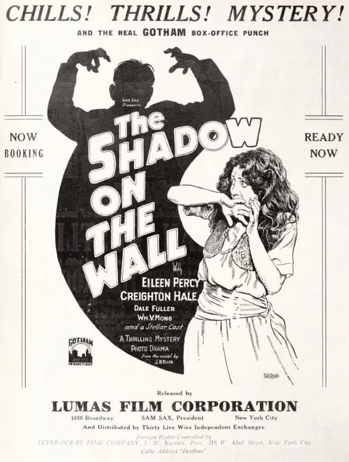Poster do filme The Shadow on the Wall