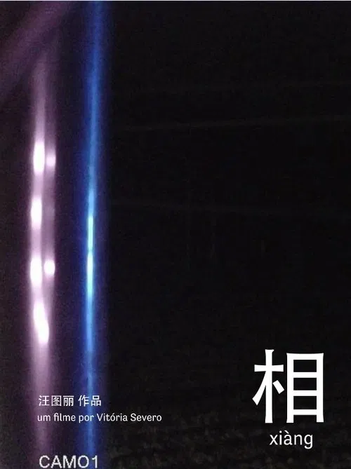 相 xiàng movie poster