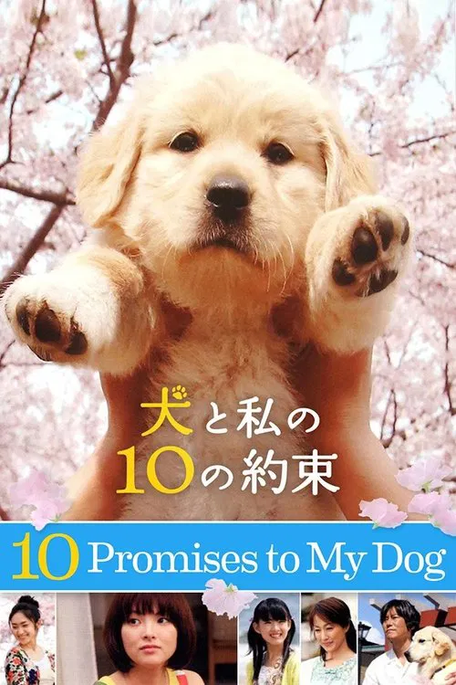 10 Promises to My Dog movie poster
