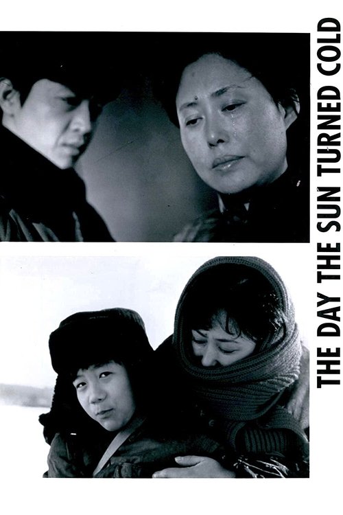 The Day the Sun Turned Cold movie poster