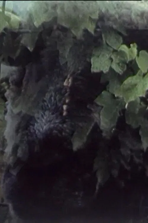 Play 33 movie poster