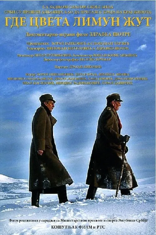 Where the Yellow Lemon Blooms movie poster