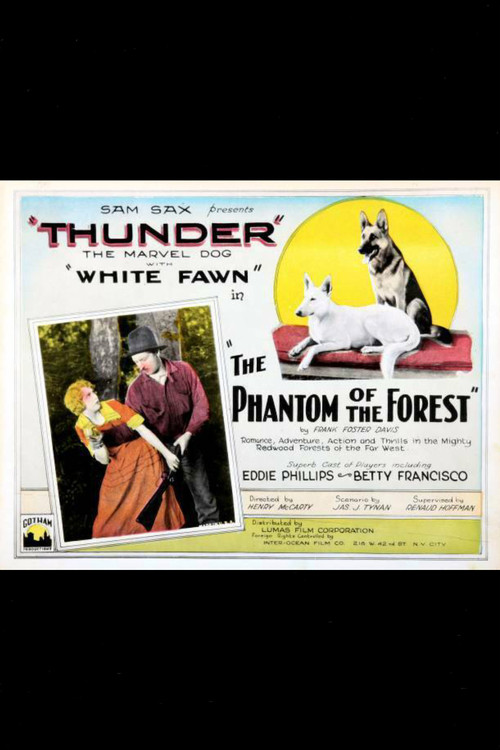 The Phantom of the Forest movie poster