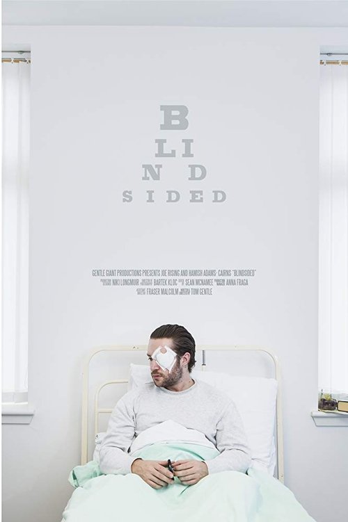 Blindsided movie poster
