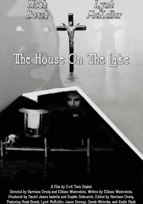The House On The Lake movie poster