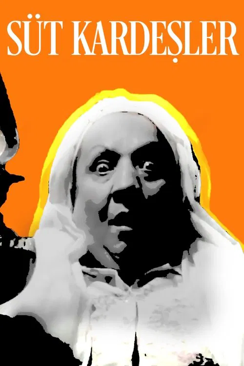 The Foster Brothers movie poster