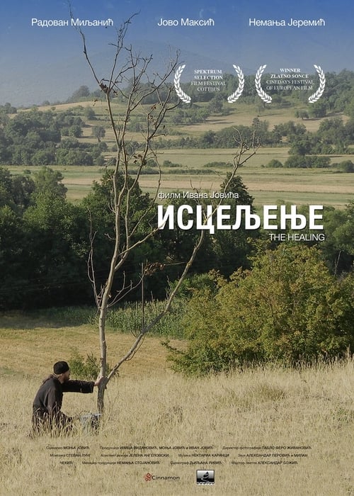 The Healing movie poster