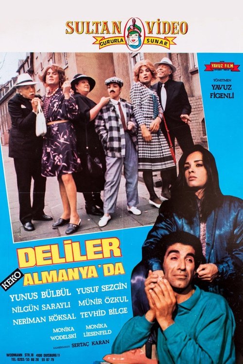 Deliler Almanya'da movie poster