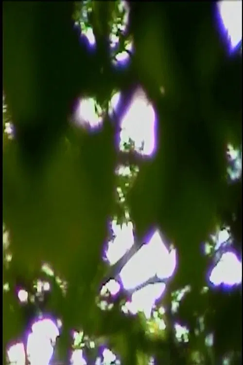 Poster do filme Dream to