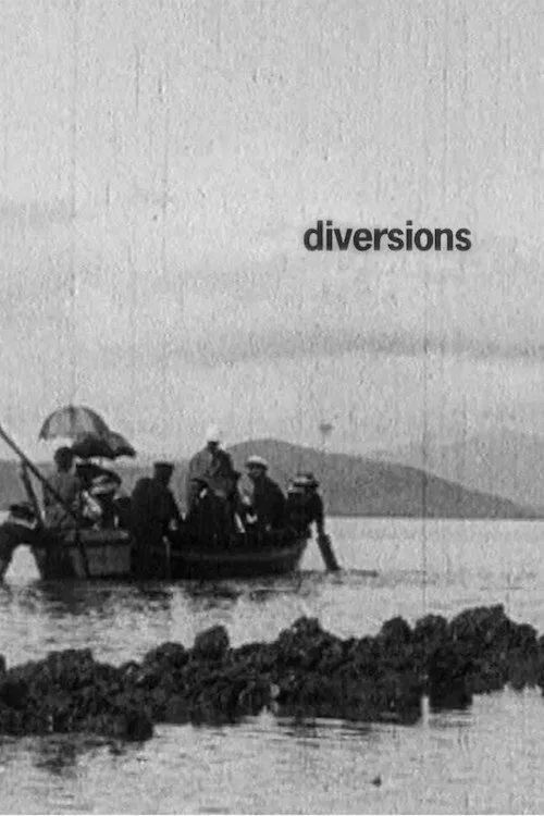 Diversions movie poster