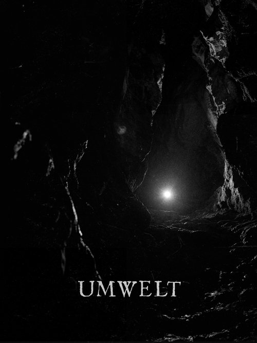 Umwelt movie poster