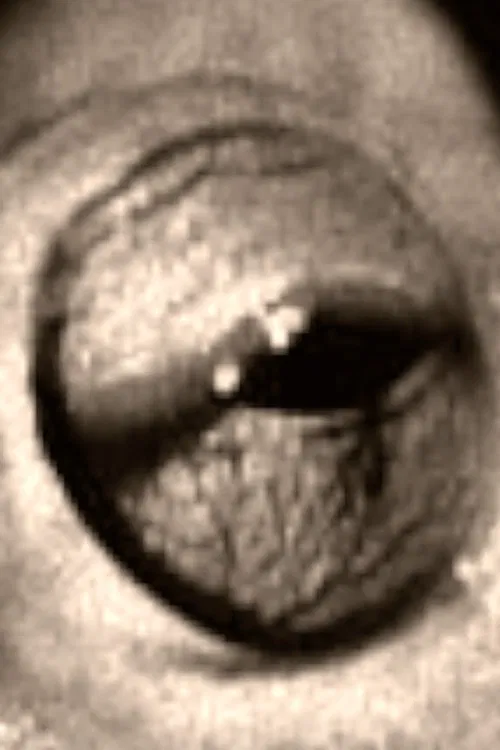 The Scorpion and the Frog movie poster