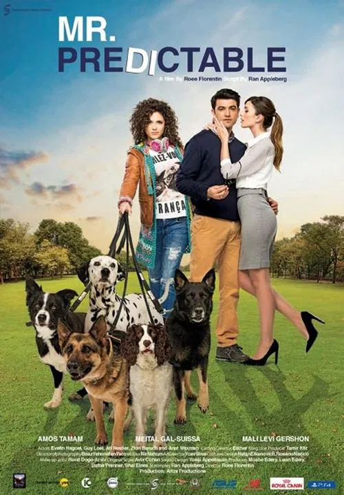 Mr. Predictable movie poster