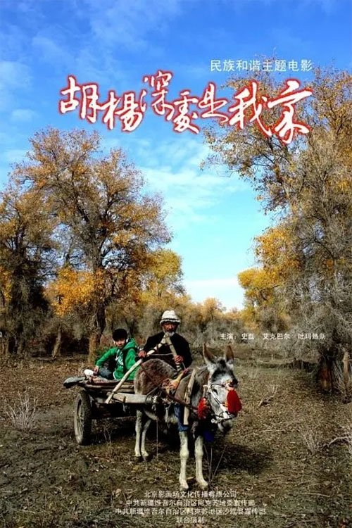 胡杨深处是我家 movie poster