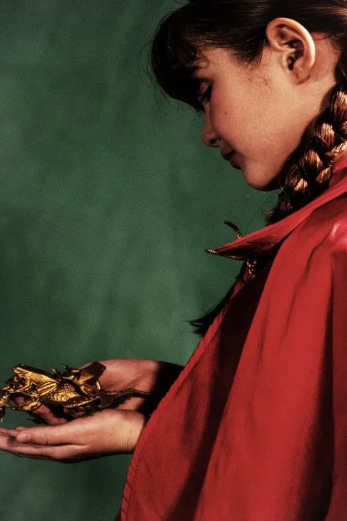 Poster do filme FURO