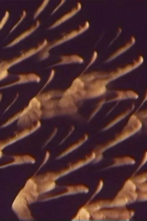 Ballett-Film movie poster