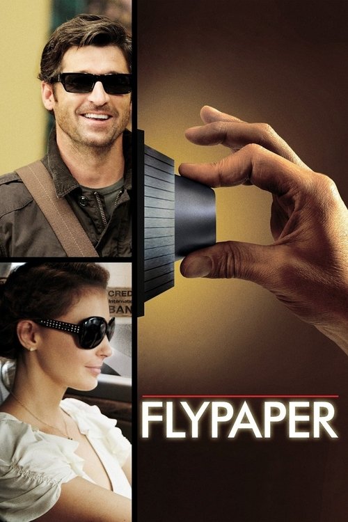 Flypaper movie poster