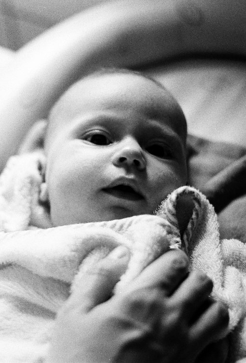 The Dormants movie poster