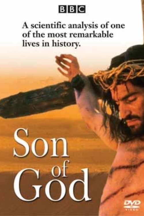 Jesus: The Complete Story tv show poster