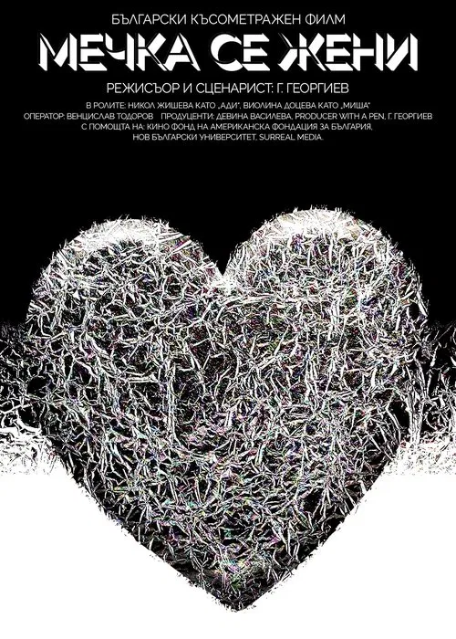 Poster do filme Sunshower