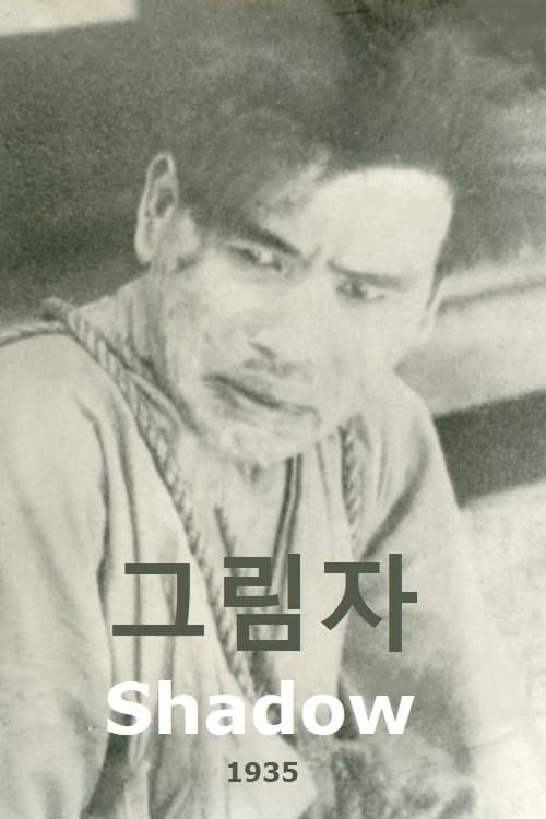 Shadow movie poster
