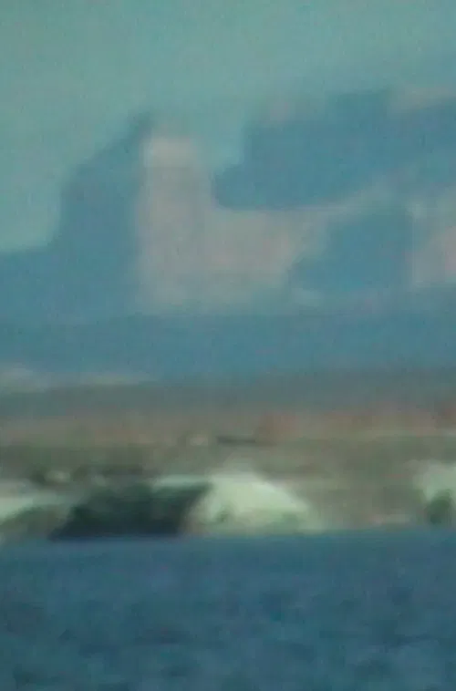 Circuit movie poster