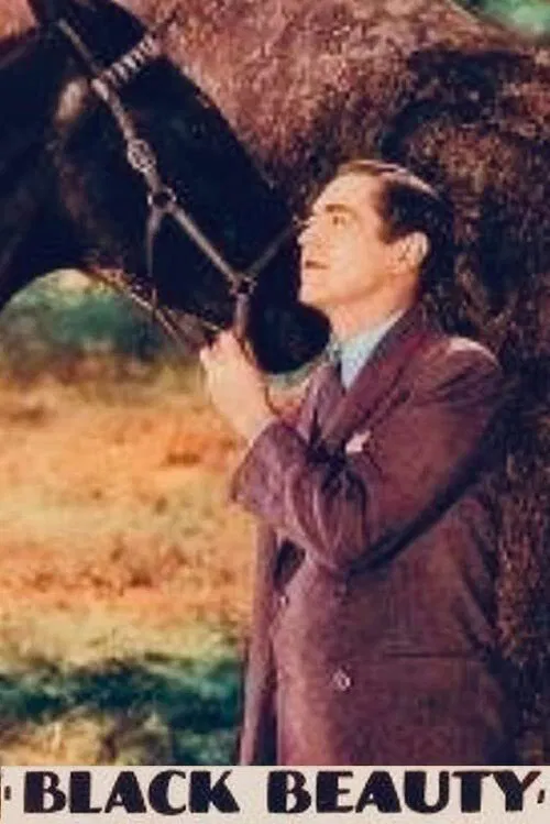 Poster do filme Black Beauty