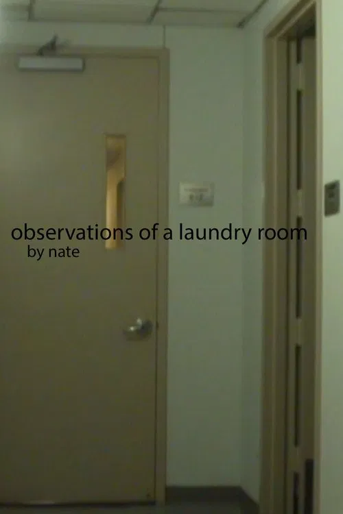 Observations of a laundry room movie poster