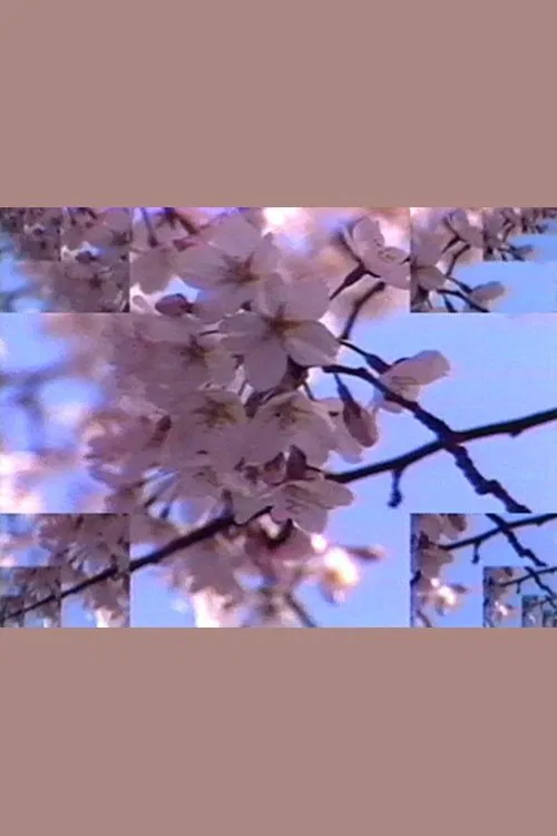 Rock Video: Cherry Blossom movie poster