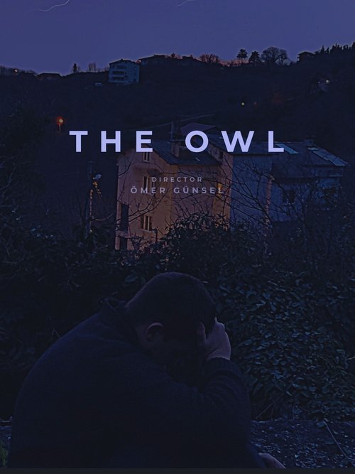 The Owl movie poster
