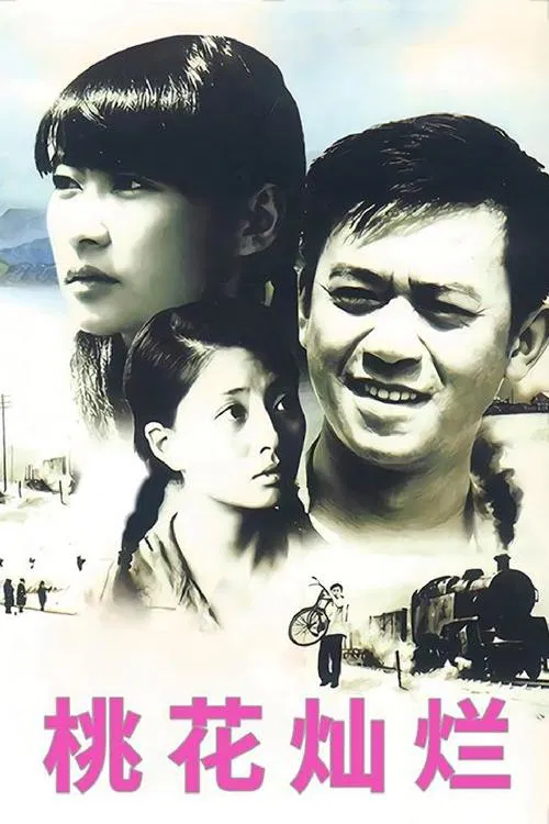 Poster da série 桃花灿烂