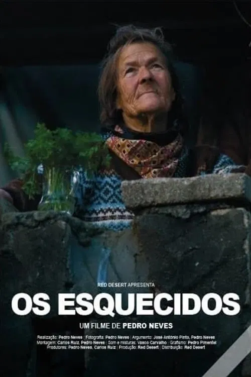 Os Esquecidos movie poster