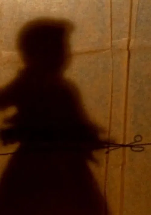 The Secret Story movie poster