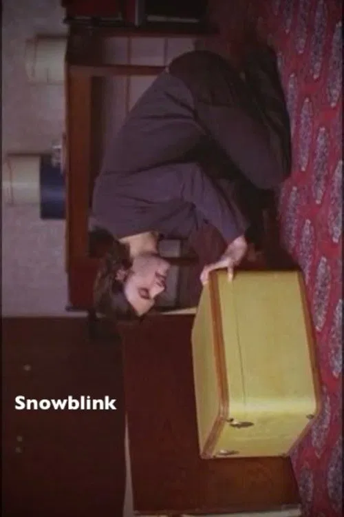 Snowblink movie poster