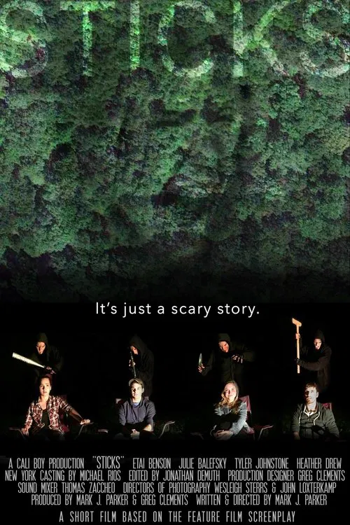 Poster do filme Sticks