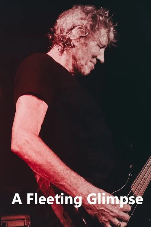 A Fleeting Glimpse movie poster