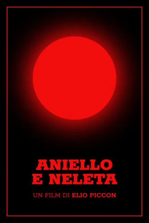 Aniello e Neleta movie poster