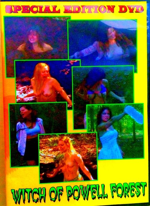 Poster do filme Witch Of Powell Forest