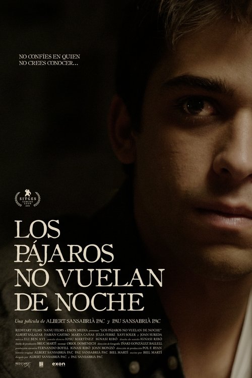 Birds Don’t Fly at Night movie poster