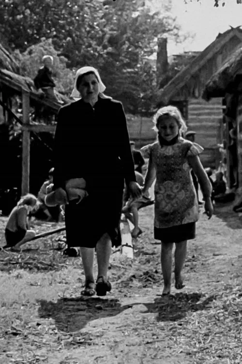 Where Is Our Home? movie poster