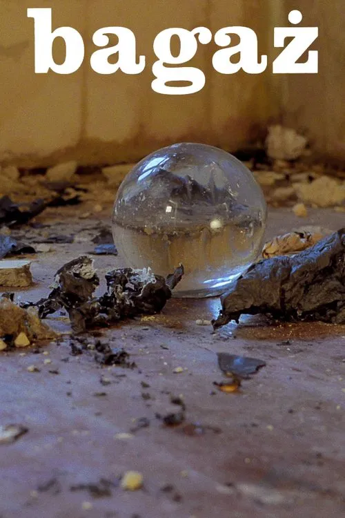 Baggage movie poster