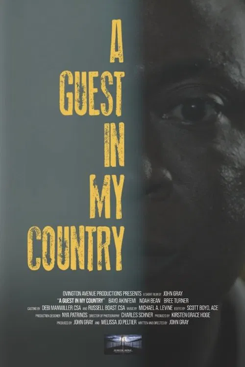 Poster do filme A Guest in My Country
