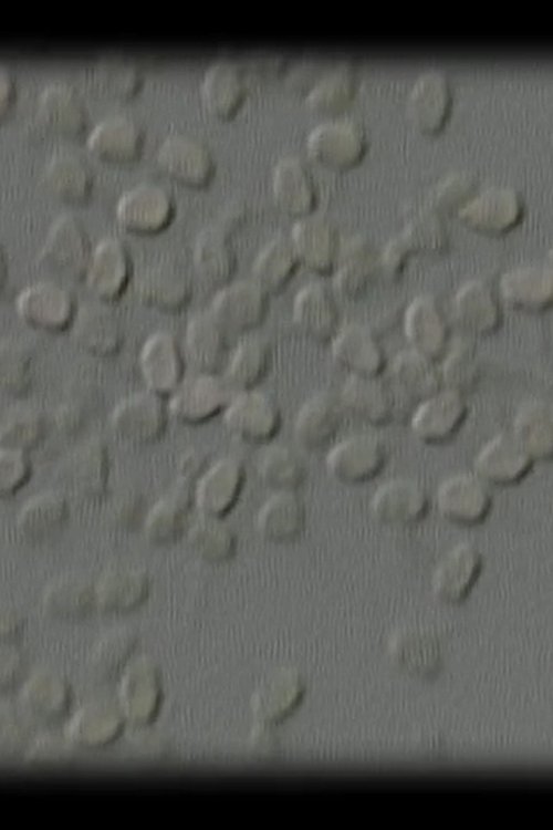 Let Me Count the Ways: 10...9…8…7…6 movie poster