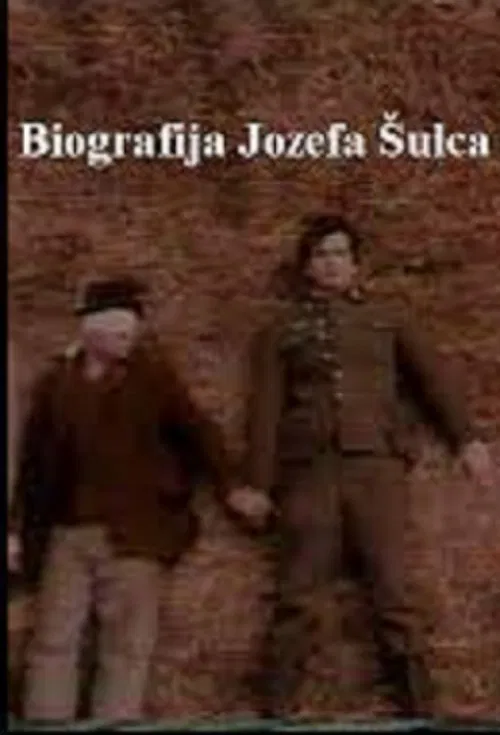 Joseph Schultz movie poster