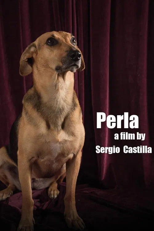 Perla movie poster
