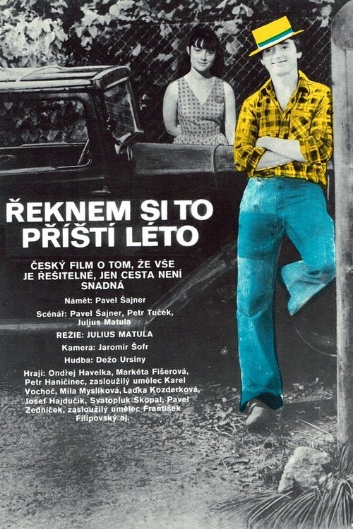 Řeknem si to příští léto movie poster