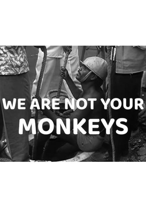 We Are Not Your Monkeys movie poster