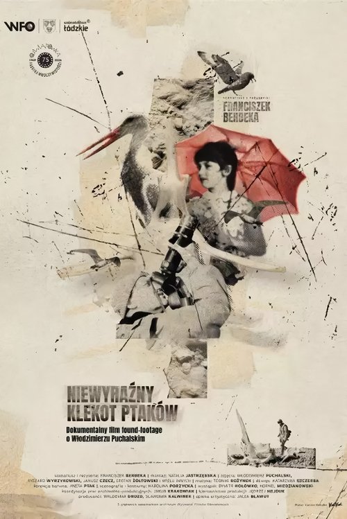 Poster do filme The Faint Clatter of Birds